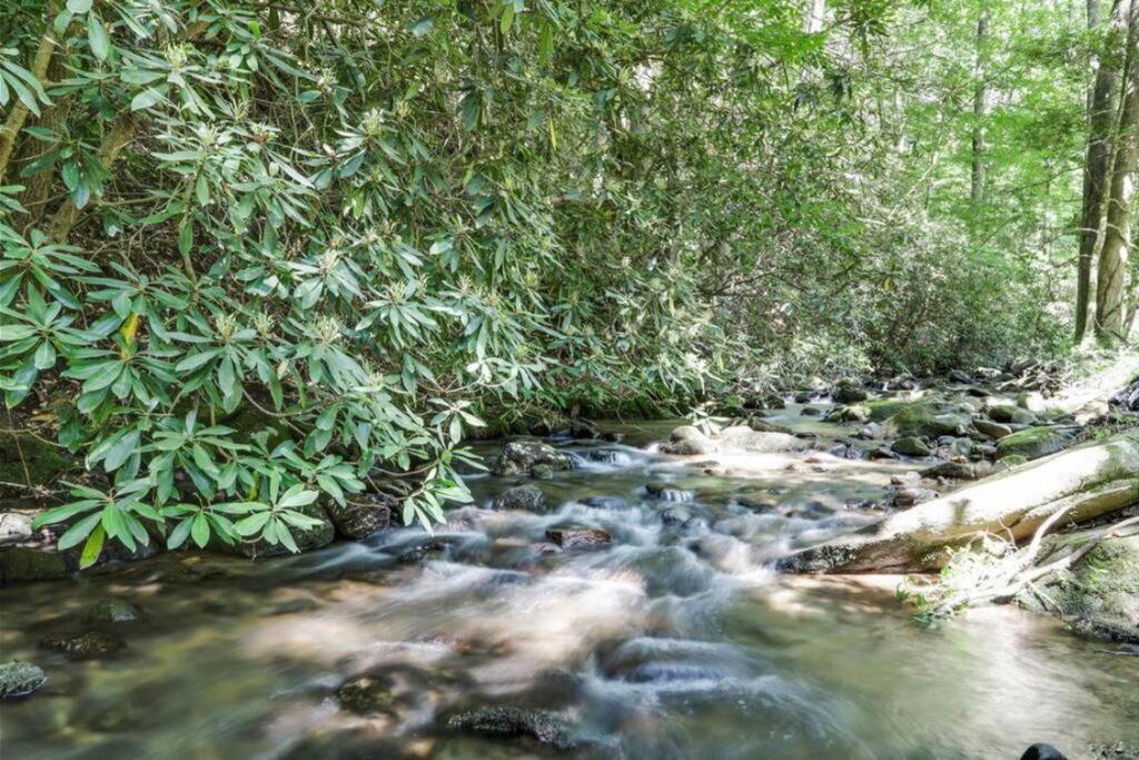 Open Studio Lodge At Little Rock Creek Cherry Log ภายนอก รูปภาพ