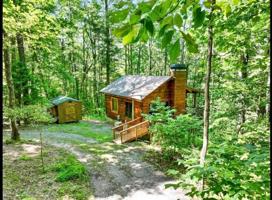 Open Studio Lodge At Little Rock Creek Cherry Log ภายนอก รูปภาพ