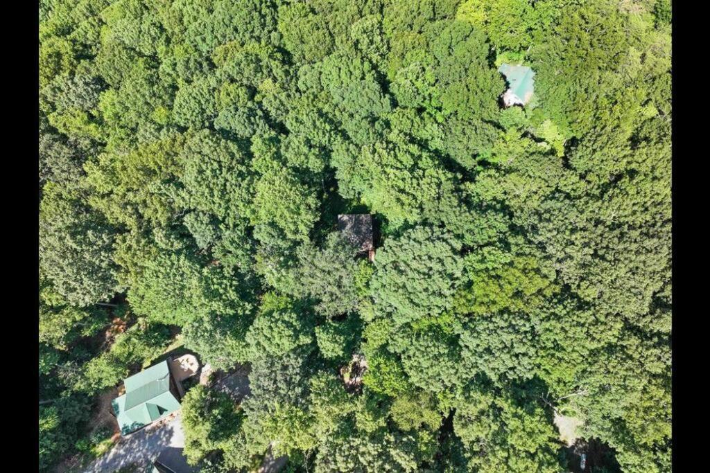 Open Studio Lodge At Little Rock Creek Cherry Log ภายนอก รูปภาพ